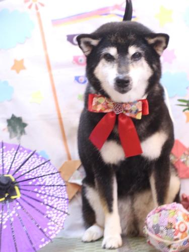 20240509ひめちゃん